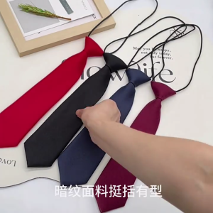 Stylish Neck Tie for Women and Girl Comfortable Adjustable Tie for Business and Special Occasion School Tie