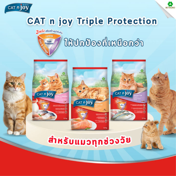 CAT%20n%20joy%20Tripple%20Protection%20%E0%B8%AA%E0%B8%B9%E0%B8%95%E0%B8%A3%E0%B9%81%E0%B8%A1%E0%B8%A7%E0%B9%82%E0%B8%95%20%20%E0%B8%A3%E0%B8%AA%E0%B8%9B%E0%B8%A5%E0%B8%B2%E0%B8%97%E0%B8%B0%E0%B9%80%E0%B8%A5%E0%B8%A3%E0%B8%A7%E0%B8%A1%201.2kg%20-%20Image%203