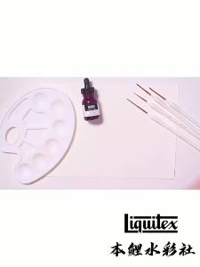 Liquitex acrylic ink 30ml with dropper waterproof metallic fluorescent color diy hand drawing graffiti liquid pigment art suppli