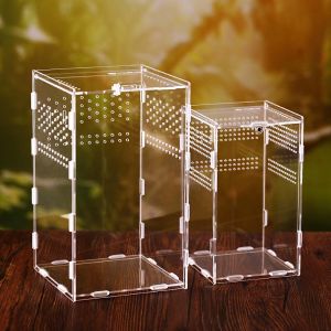 Transparent Acrylic Frogs Snakes Insect Feeding Box Container Reptile Incubator Hatching Terrariums Insect Supplies Breeding Box