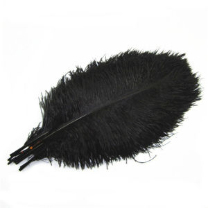 35-45cm100% bulu burung ostrich asli  Bulu Ostrich White Premium Putih/hitam