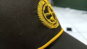 TOPI PRAMUKA PEREKAT SD SMP SMA LAKI LAKI PENGGALANG. TOPI SCOUT PRAMUKA BORDIR KIRI KANAN KRETEK TOPI SEKOLAH POLOS PREMIUM TOPI ANAK SEKOLAH TOPI PRAMUKA COWOK CEWEK