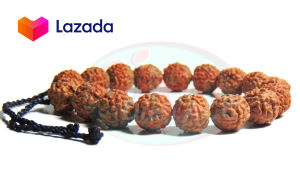 Gelang biji jenitri genitri rudraksha 10mm ORIGINAL Dien ACC