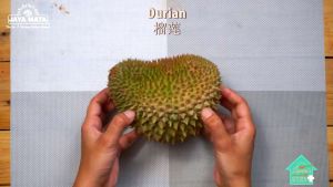 PISAU DURIAN MERK JAYA MATA JM-5 MADE IN MALAYSIA