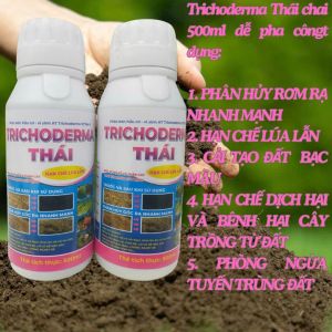 TRICHODERMA THÁI chai 500ml (MUA 1TANG1KICHMAM) PHÂN HỦY RƠM RẠ NHANH HẠN CHẾ LÚA LẪNCẢI TẠO ĐẤT