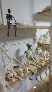 Fashion Skull Shape Beer Opener Aluminum Alloy Texture Bottle Opener for Family Gatherings and Camping Adventures