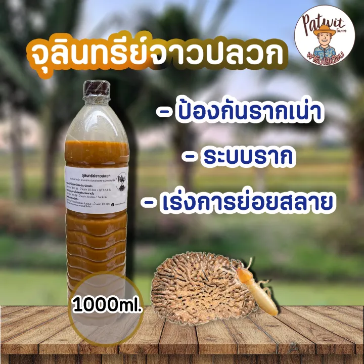 จุลินทรีย์จาวปลวก 1 ลิตร ป้องกันรากเน่า