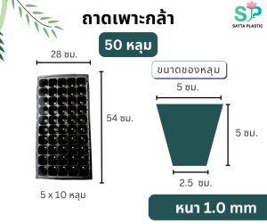 ถาดเพาะกล้า ถาดเพาะเมล็ด หนา 1.0 mm 3250105128200 หลุม แข็งแรง หนา ถาดเพาะเมล็ดผัก ใช้ซ้ำได้