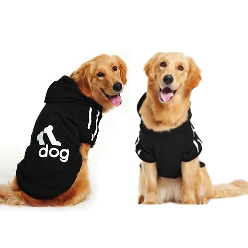 Labrador on sale dog jackets