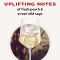 MARTINI Asti Spumante Sparkling Wine, Sweet and Smooth Italian Wine, 7.5% ABV, 75cl / 750ml. 