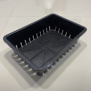 ถาดพลาสติก ถาดไดโซะ ถาดใส่กระถางต้นไม้แคคตัส แบบมินิ แบบมีรู และ แบบทึบ