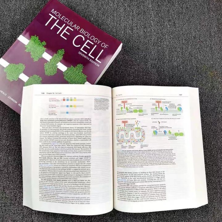 Cell and Molecular Biology Molecular Biology of the Cell 7 th 7th