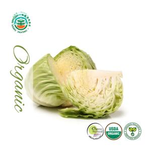 Quan Fa Organic Farm Organic Round Cabbage