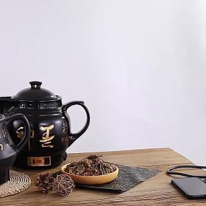 LZD  Automatic Multi-Functional Household Health Care Traditional Chinese Medicine Cooking Pot Traditional Chinese  Pot Casserole Medicine Pot Ceramic Boiling Electric Traditional Chinese Medicine Stewing Pot