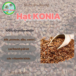 [2KG] HẠT KONIA/ HẠT CẦY ĐẶC SẢN NÚI RỪNG THƠM NGON BÉO NGẬY
