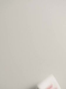 Home Wall-Mounted Plastic Pop Mart Doll Multi-Purpose Dustproof Hand-Made Display  Blind  Storage Display Stand