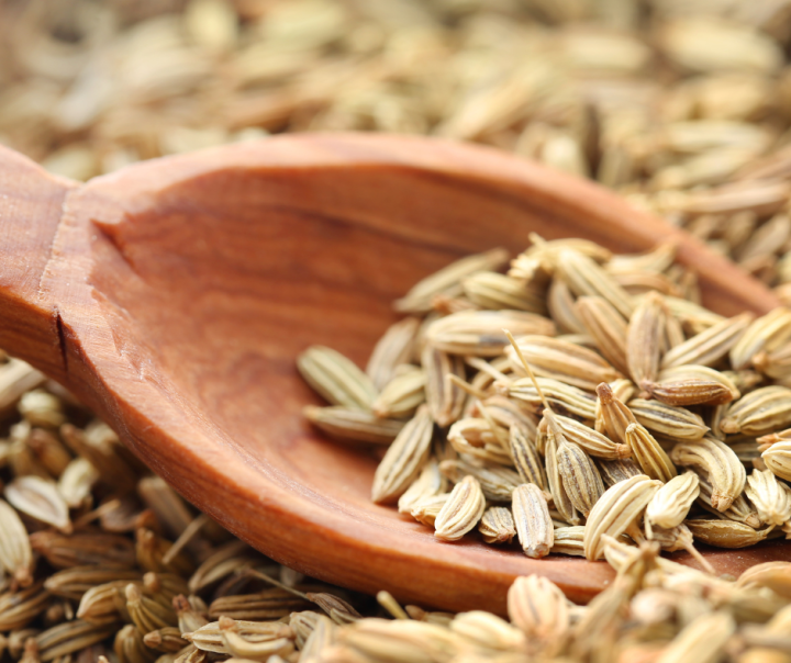 FENNEL SEEDS Lazada PH Buy sell online Grains with cheap price