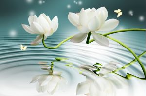 Tranh dán tường hoa sen trang trí nhà đẹp kt 80cm*1m2