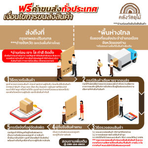 WOOD OUTLET (คลังวัสดุไม้) บานพับประตู4 นิ้ว สีทองแดง มีแหวน VITTA รุ่นVTF-06 ผลิตจากสแตนเลส สำหรับประตู หน้าต่าง ือุปกรณ์ติดตั้ง