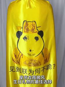 Áo choàng họa tiết rồng vui nhộn áo choàng rồng áo choàng: Khi thấy tôi sao bạn không quỳ gối? cosplay Trò chơi nhập vai đa năng