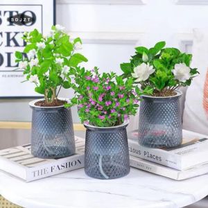 Chậu tự dưỡng vân kim cương trồng cây thuỷ sinhChậu mọng nướcChậu trồng cây Mini để bàn Trang trí Phukienprocare