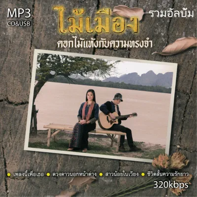 ไม้เมือง รวมอัลบั้ม 50 เพลง ระบบเสียงคุณภาพ 320k #เพลงเก่า#เพลงคลาสสิค