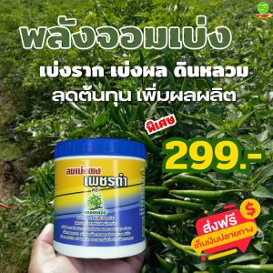 ขยายช่องว่างเม็ดดิน เพิ่มออกซิเจนในดิน ต้นพืชแข็งแรง ลมเบ่งผง1กระปุก ผลิตภัณฑ์ใช้กับพืชผักสวนครัว สินค้าพร้อมจัดส่งใน1วัน