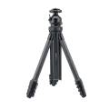 Heipi W28S 3-in-1 Travel Carbon fiber Tripod with Ball Head (ประกันศูนย์ 2 ปี). 