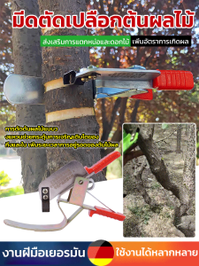 เครื่องตัดหนังใหม่ เครื่องตัดเล็บต้นไม้ผลไม้แบบตัดแหวน