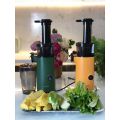 Máy Ép Chậm Hoa Quả Mini Cực Hot Tiện Lợi Sử Dụng Khi Muốn Thưởng Thức Sinh tố,Nước Ép, An Toàn Và Dễ Dùng Cho Nội Trợ. 