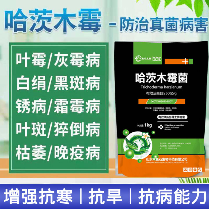 Trichoderma harzianum 50 billion/g)Bacillus Subtilis 1kg/pk哈茨木霉菌剂 ...