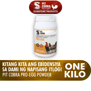 Pit Cobra Pro-egg (Egg Booster) WSP 1 Kilo - Kitang kita ang Ebidensiya sa Dami ng Napisang Itlog!