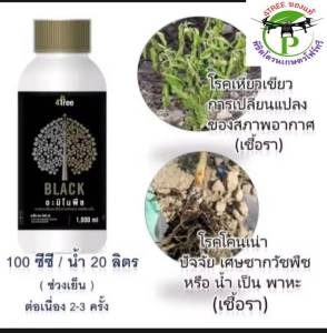 ​Amino Blackอะมิโนแบล็คใหญ่ 1000cc.1 ขวด สารเสริมประสิทธิภาพพืช ช่วยเพิ่ม%น้ำยาง เพิ่มค่าแป้ง ป้องกันโรคโคนเน่า ท่อน้ำเลี้ยงเน่า รากเน่า เชื้อรา 4Treeของแท้100%