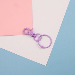 JPTD Candy Color Lobster Clasp Hooks Keyring Clip Hook Snap Buckle Hooks Spring Clasp for Keychain Durable Colorful Jewelry DIY Buckle Connector Craft Lovers