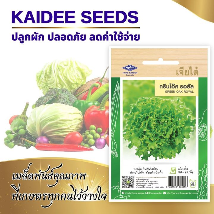 10 อันดับเมล็ดผักสลัด เจียไต๋ ยี่ห้อไหนดี? ปลูกง่ายได้ผักสดใหม่ อัปเดตปี 2025