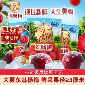 100g冻杨梅果干蜜饯果干梅子Frozen Waxberry Preserved Fruits Plums with Sweet and Sour Taste dried fruits