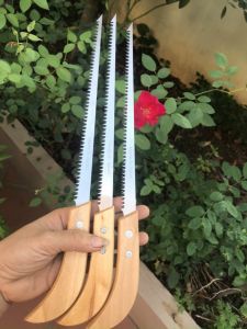 Cưa Lách Cán Gỗ Cưa Cắt Cành ở Vị Trí Hẹp Cưa Lá  Lưỡi Dao CN Nhật Bản - JA88 Sắc Bén Độ Bền Cực Cao