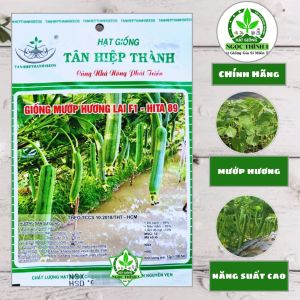 (Gói 12gr) Hạt Giống Mướp Hương Lai F1-HITA 89 TÂN HIỆP THÀNH