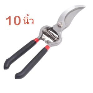 กรรไกรตัดกิ่งไม้8นิ้ว 10นิ้ว ตัดกล้วยไม้ ตัวปากกรรไกรทำจาก สแตนเลสเชุบแข็งพิเศษ มีความคมสูง ความทนทานกว่าใ