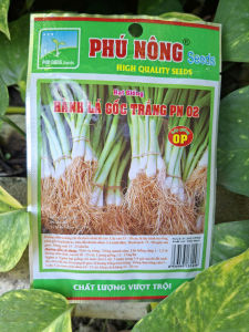 [TRUNG THIEN THINH] Hạt giống Hành lá gốc trắng PN02 gói 2gam của Phú Nông