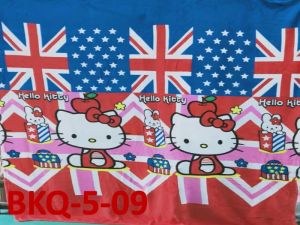 ✨ Selimut QUEEN Size Coral Flannel Blanket (180cm X 200cm) (BKQ)