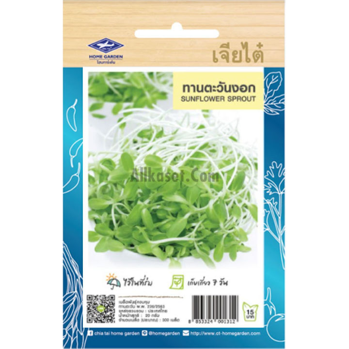 เมล็ดพันธุ์ทานตะวันงอก เจียไต๋