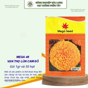 Hạt Giống Vạn Thọ Lùn F1 MEGA 46 Cam Đỏ – Bông To Cây Thấp – Mega Seed