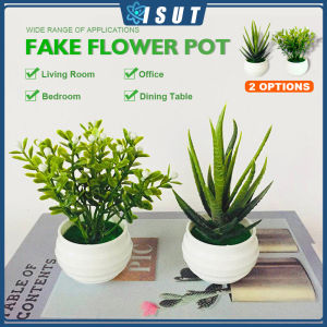 Simulation Succulent Aloe Vera & Mini Plastic Artificial Plants