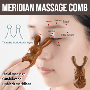 Meridian Massage Comb Head Meridian Scalp Massager Blood Circulation Massage Sanding Smooth Delicate Compact Sturdy And Durable