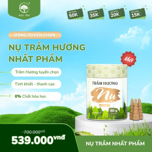 💫[NHẤT PHẨM] Nhang Nụ Trầm Hương Mộc Lâm 80g Trầm Nụ Khói Ngược Xông Nhà Thanh Lọc Không Khí