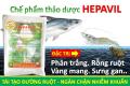 (Combo 3 gói) Chế phẩm sinh học Thảo Dược HEPAVIL dứt điểm bệnh rỗng ruột, phân trắng, vàng mang, sưng gan trên Tôm, Cá, Ếch. 