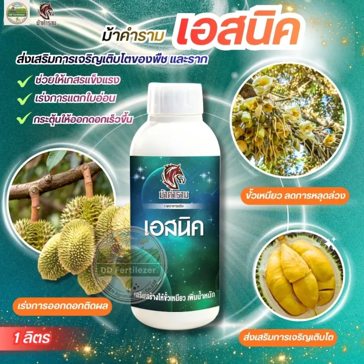 เอสนิค ไนโตรฟีโนเลต 1 ลิตร ช่วยให้ขั้วเหนียว ลดการหลุดร่วงของผลผลิต