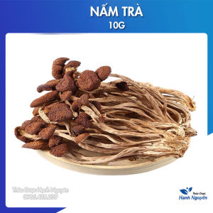 Nấm trà tân cao cấp 1kg (Nguyên liệu nấm nấu canh hầm bổ dưỡng) - Thảo dược Hạnh Nguyên