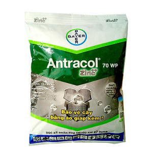 Thuốc trừ bệnh ANTRACOL 70WP - Gói 100gr - Phòng trừ hiệu quả nhiều loại bệnh thán thư sương mai đạo ôn trên lúa rau màu và cây cảnh.